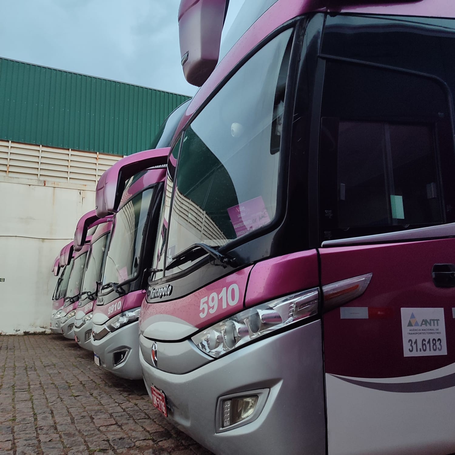 Fretamento de Ônibus 