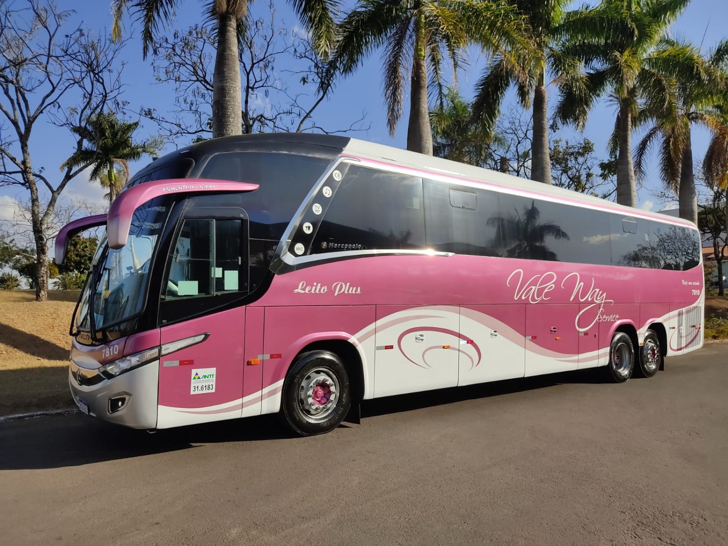Ônibus Paradiso 1200 G7 - 42 Lugares Leito Plus